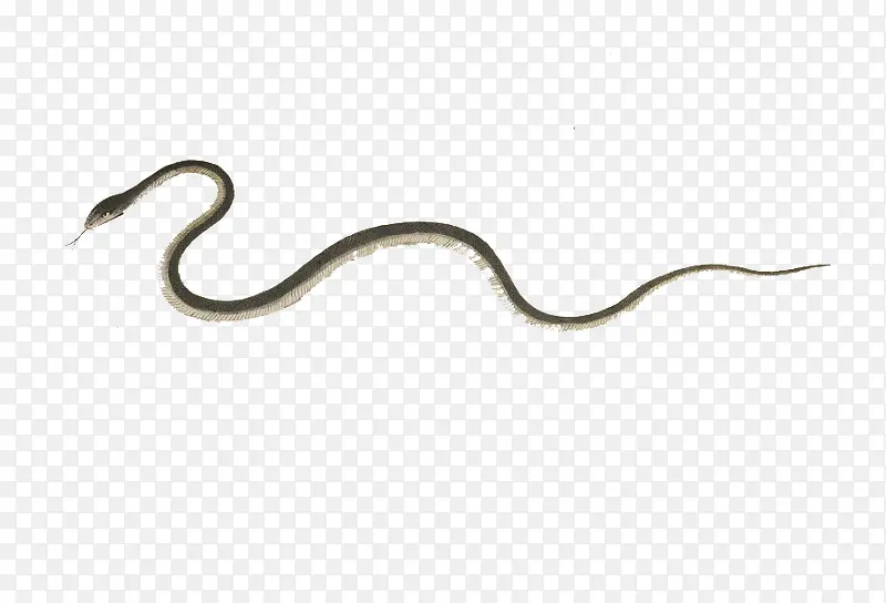 �ֻ�С��-������