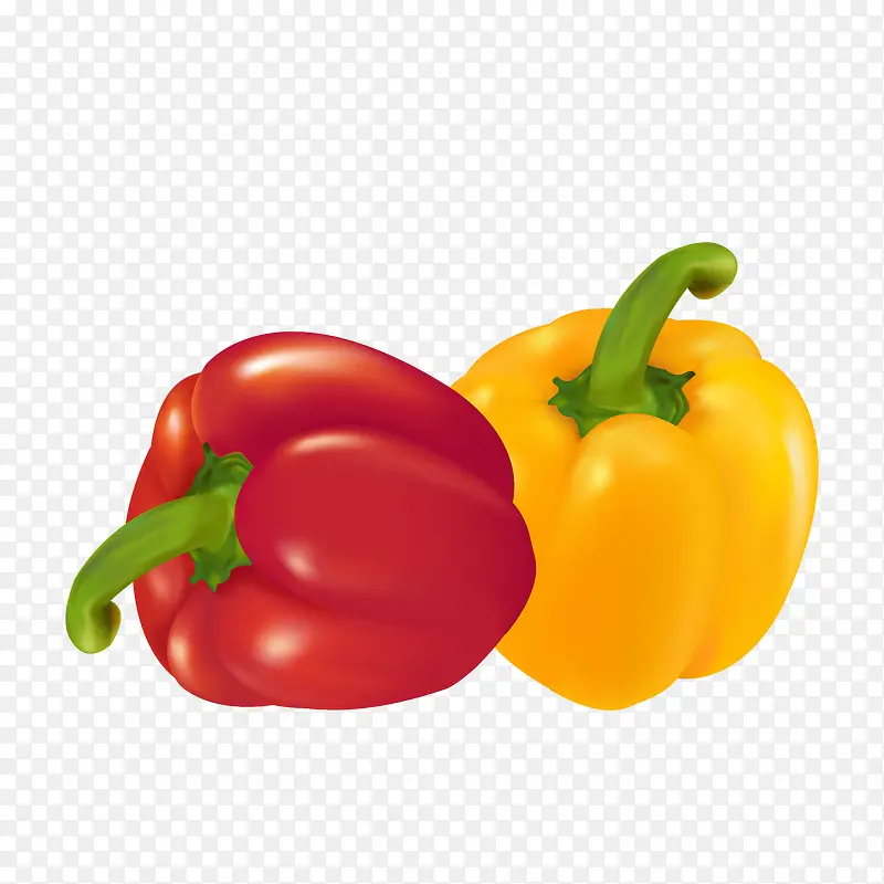 ̫�������������-������