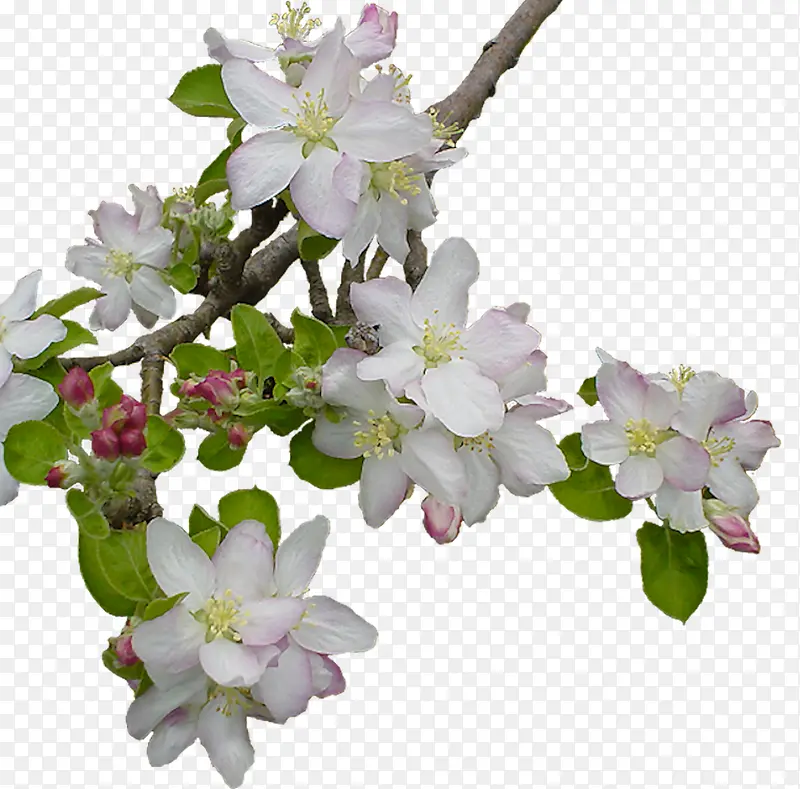 ����-������