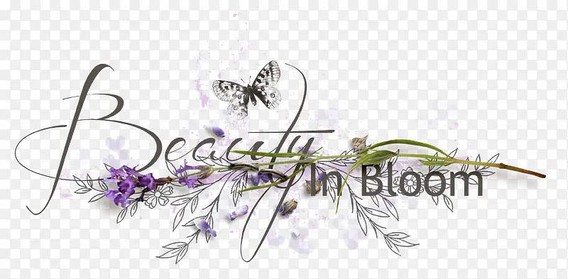 ��֦Ӣ��-������