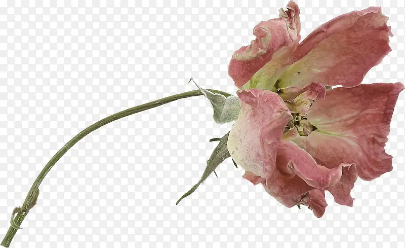 ����-������