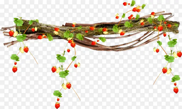 С���¿�ͨ����װ���ز�-������