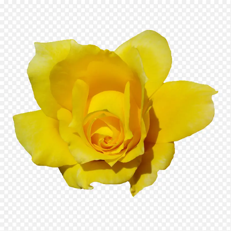 �ʻ��ز��ʻ�ͼƬ�ز�-������