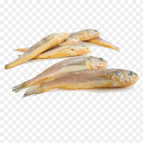 ��Ʒʵ�ﺣ����-������