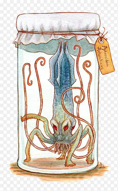 �������е�����-������