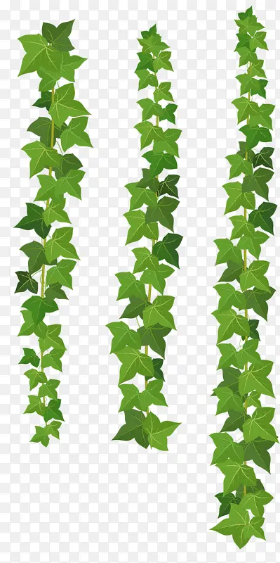 ������Ҷ-������