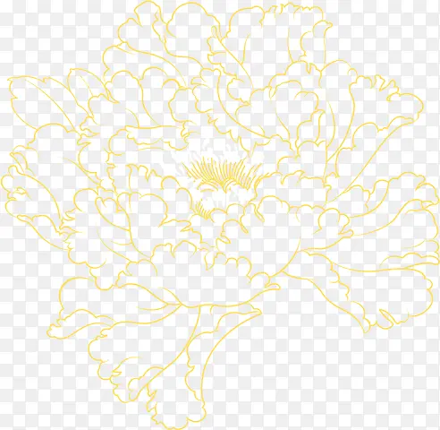 ��ɫ�����������ĵ����-������