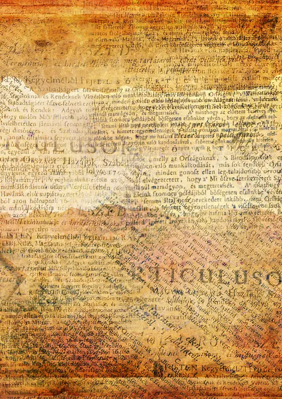 ���ű���-������