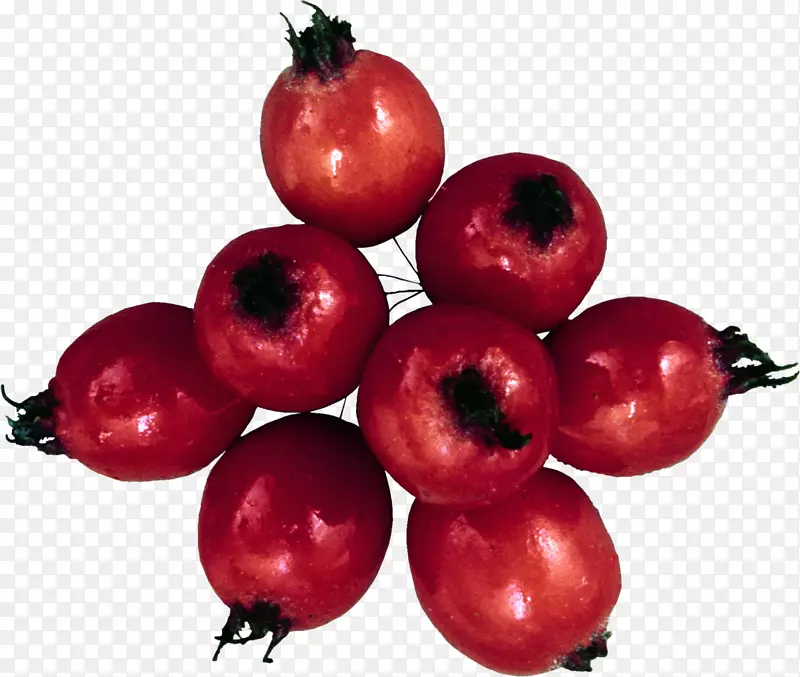 ��ԽݮʳƷ-������