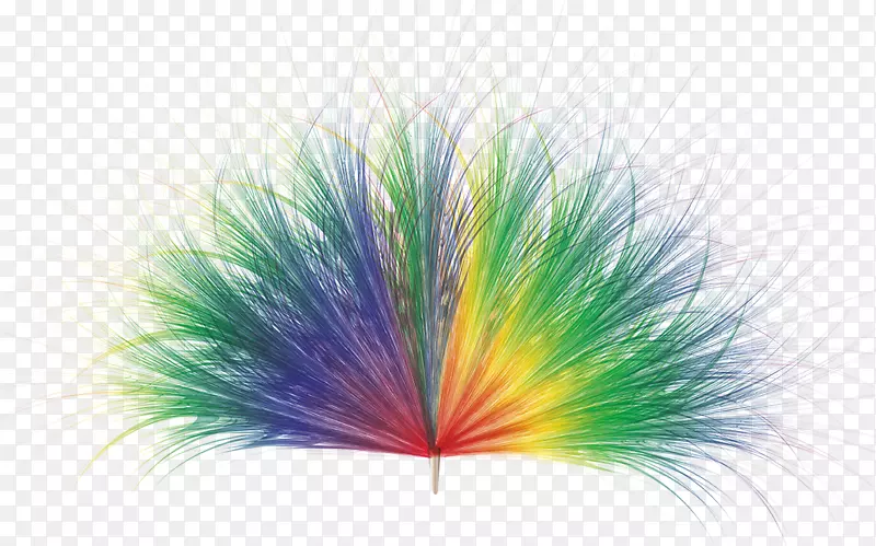 ��ë�����ֽ-������