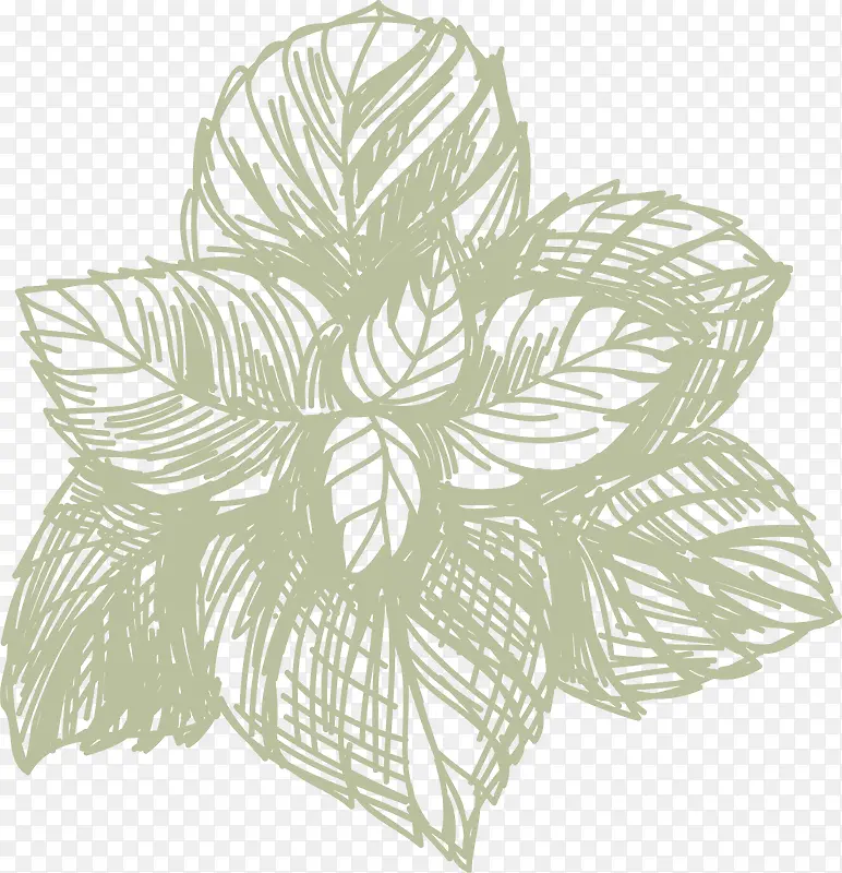 Ҷ�ӻ��ʳ������-������