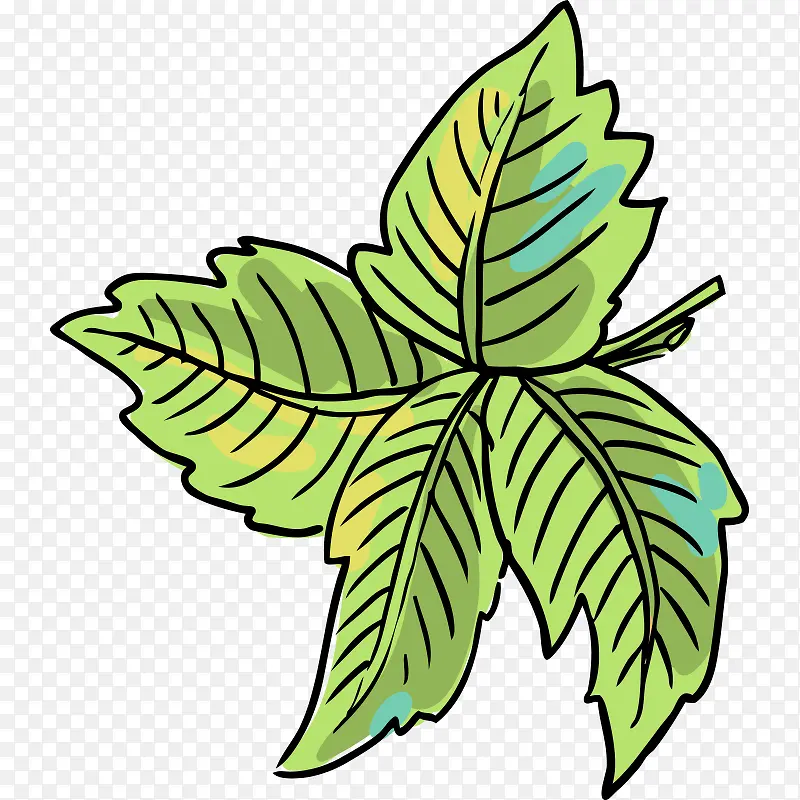 �ֻ� ʳ��Ǧ�ʻ� ��ʳ ʳ�� ���-������