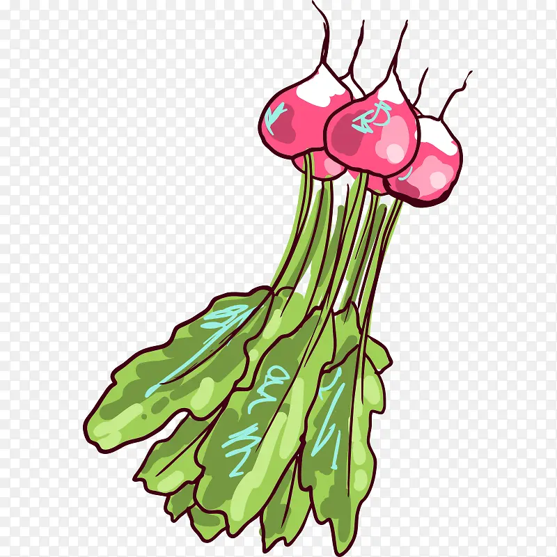 �ֻ� ʳ��Ǧ�ʻ� ��ʳ ʳ�� ���-������