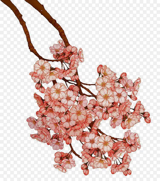 ����-������