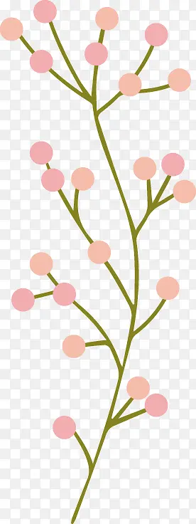 ��֦-������