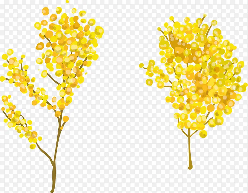 ��ɫ����-������