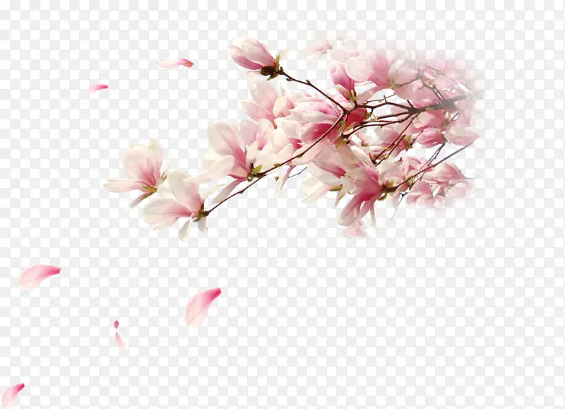 ����-������