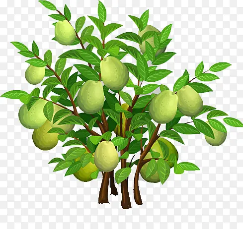 â����-������