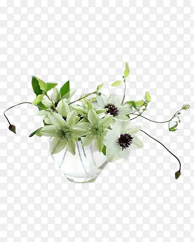 ������Ļ���-������