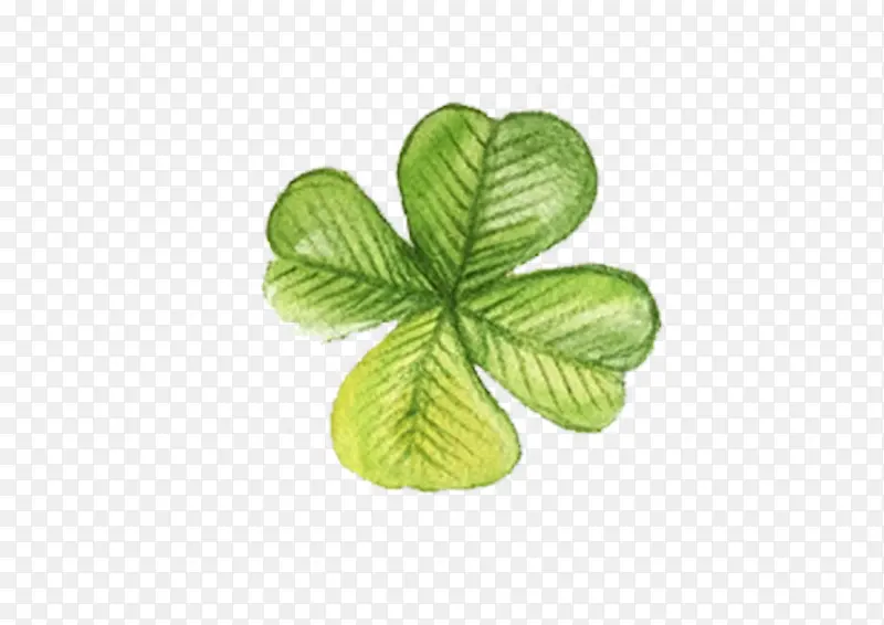 �ֻ���Ҷ��-������