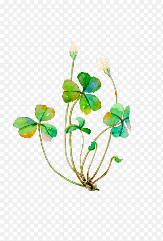 �ֻ���Ҷ��-������