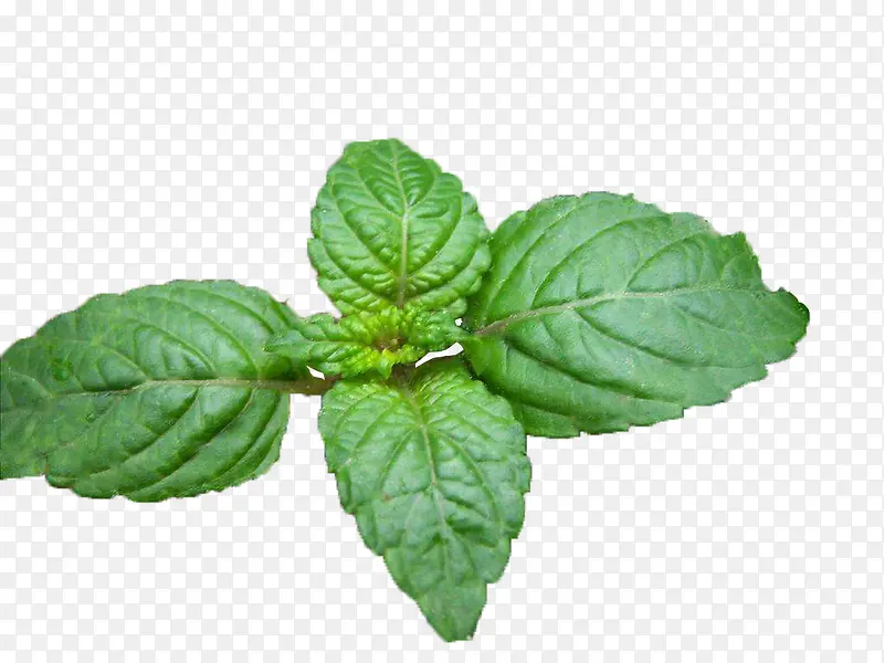 ���˲� ���۲�-������