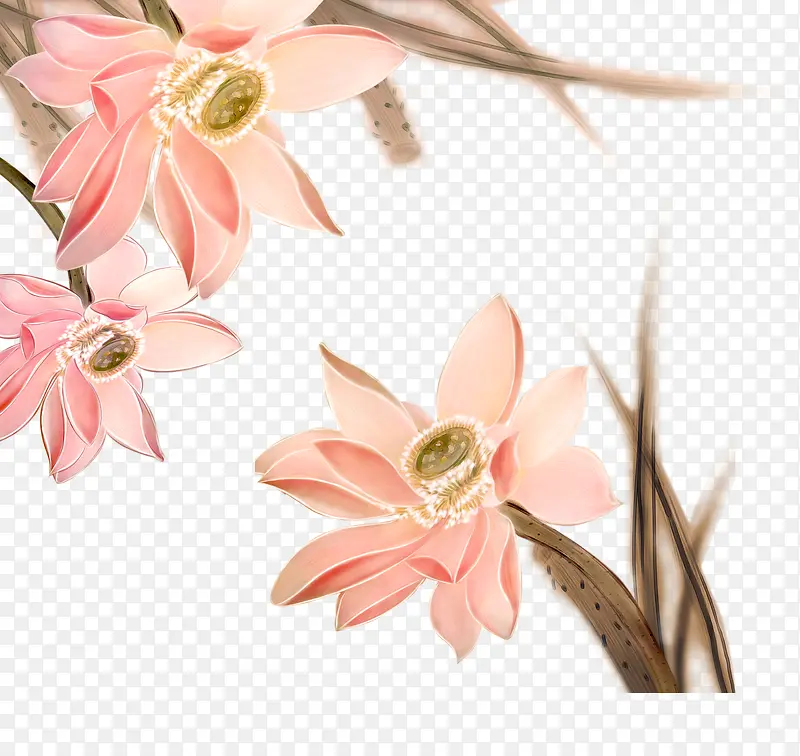 ���Ż���ˮ�ʻ�-������