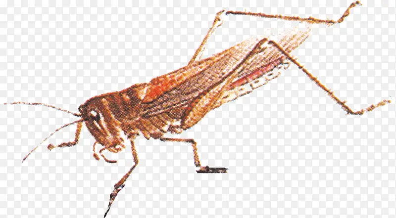 ˮī����������-������