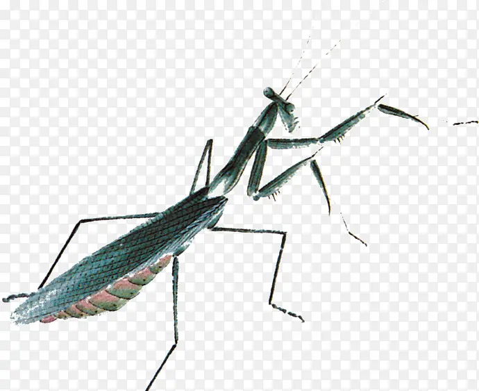 ˮī�����-������