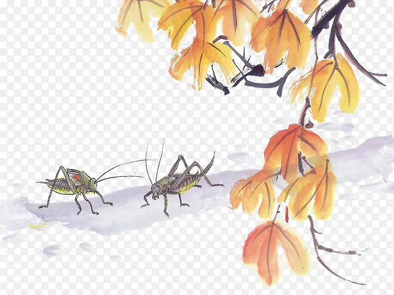 ����羰-������