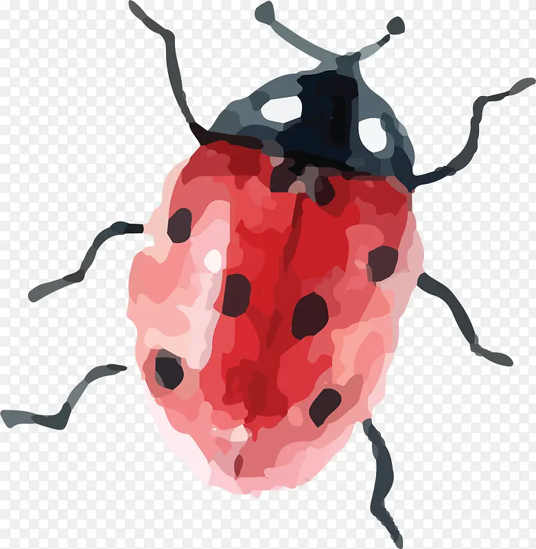 ����ư���ز�-������