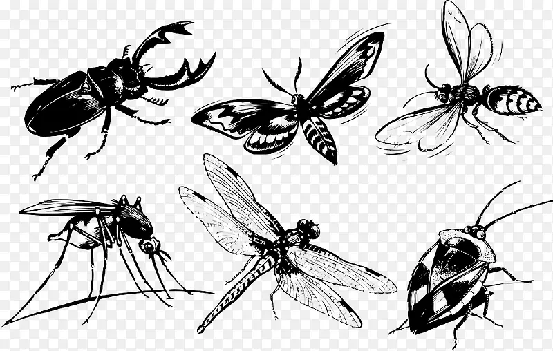 ����ˮī-������