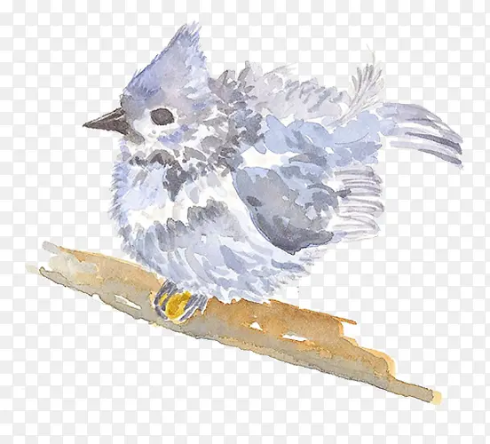 ��֦�ϵ�С��-������