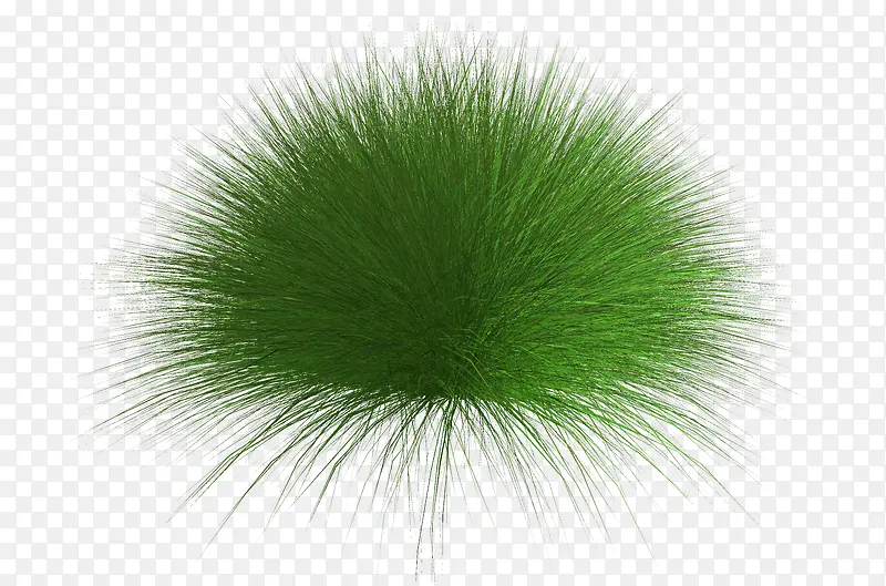 �̲�-������