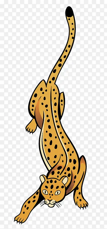 ��ͨ�ɰ�С����װ�ζ���ͷ��-������