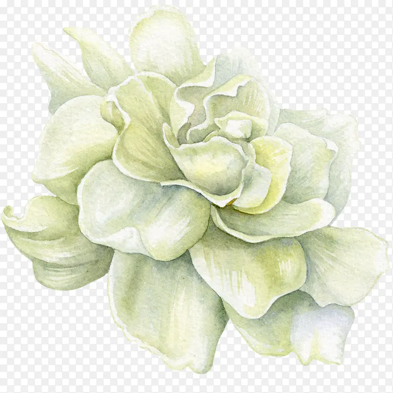 ˮī��ɫ����-������