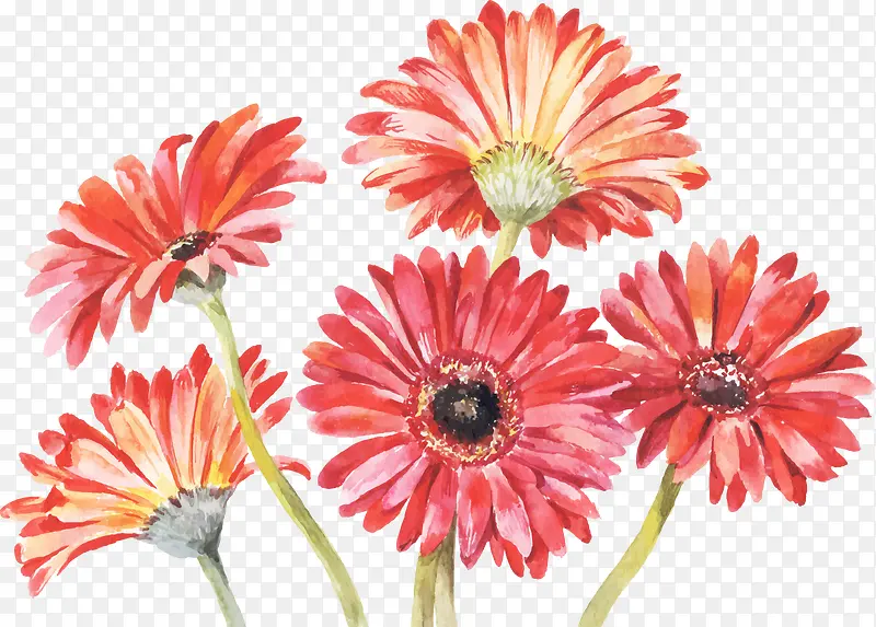 ˮ�ʺ�ɫ��Ұ�ջ�-������