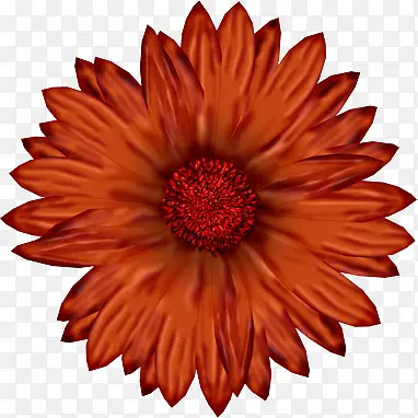 ��ɫ�ֻ�Ұ�ջ�ˮ��-������