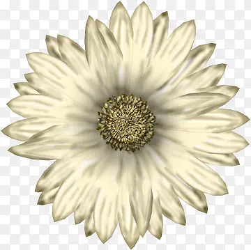 ��ɫ�ֻ�ˮ��Ұ�ջ�-������