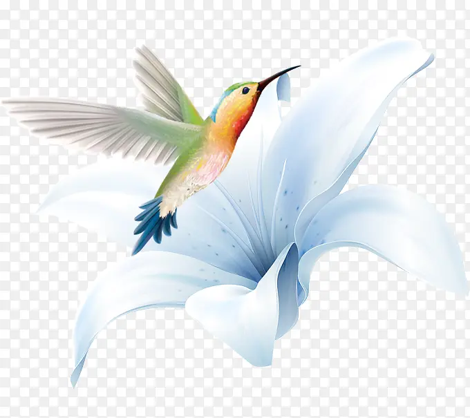 �ֻ�ٺϻ����-������