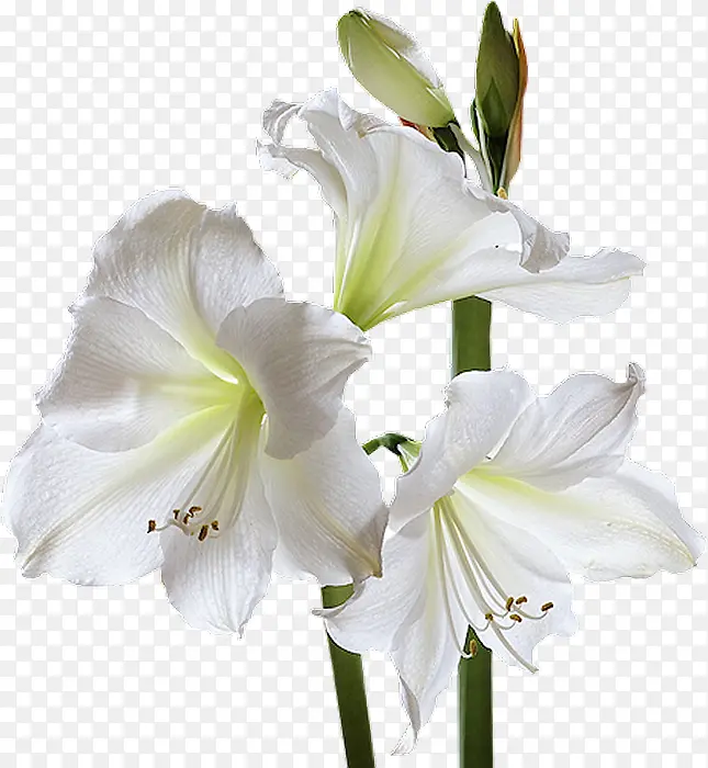 ��ɫ�����زĶ�̬�����ز�  ��-������