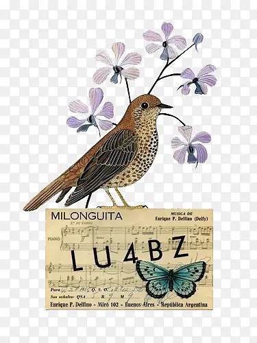 ˮ��С��滭-������