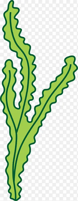 ��ɫ��ͨ����ֲ��-������