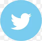 �ֻ���ƽ��Ԫ��-������