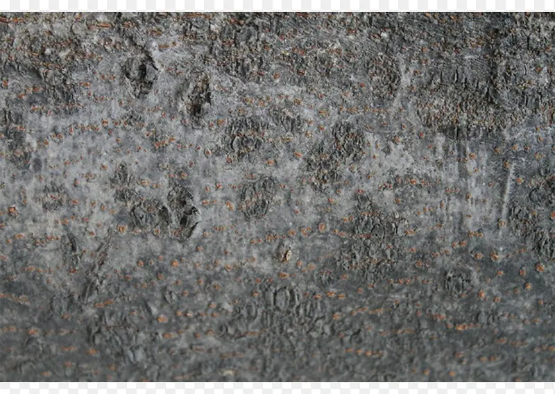 �Ұ�ˮ��ذ�-������