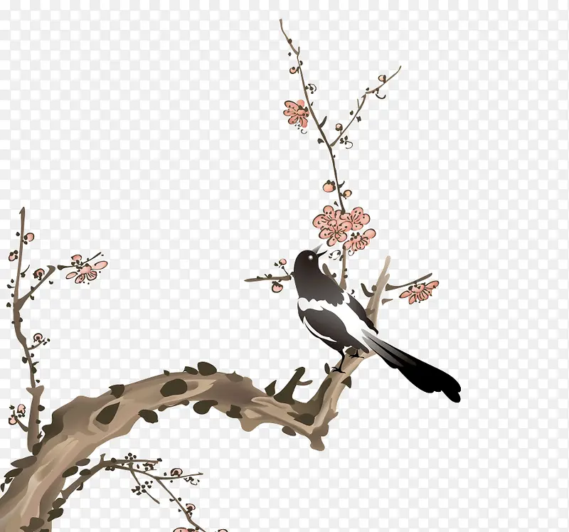 ϲ��ü��-������