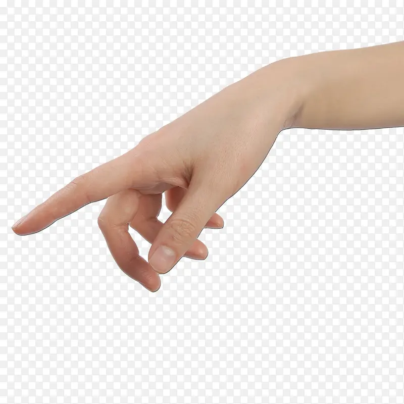 ��ָԪ��-������