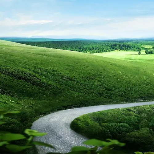 ����-������