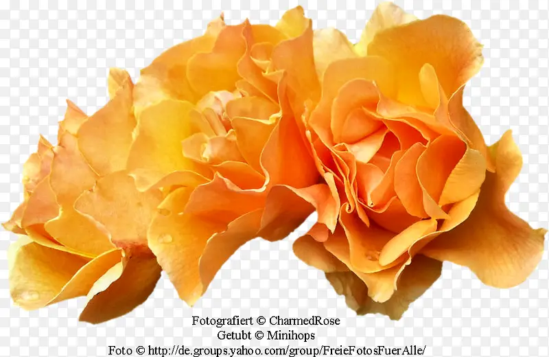 ֲ�ﻨ���زĻ��ݻ�-������