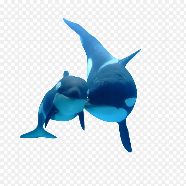 ��Ʒʵ�ﾨ��-������